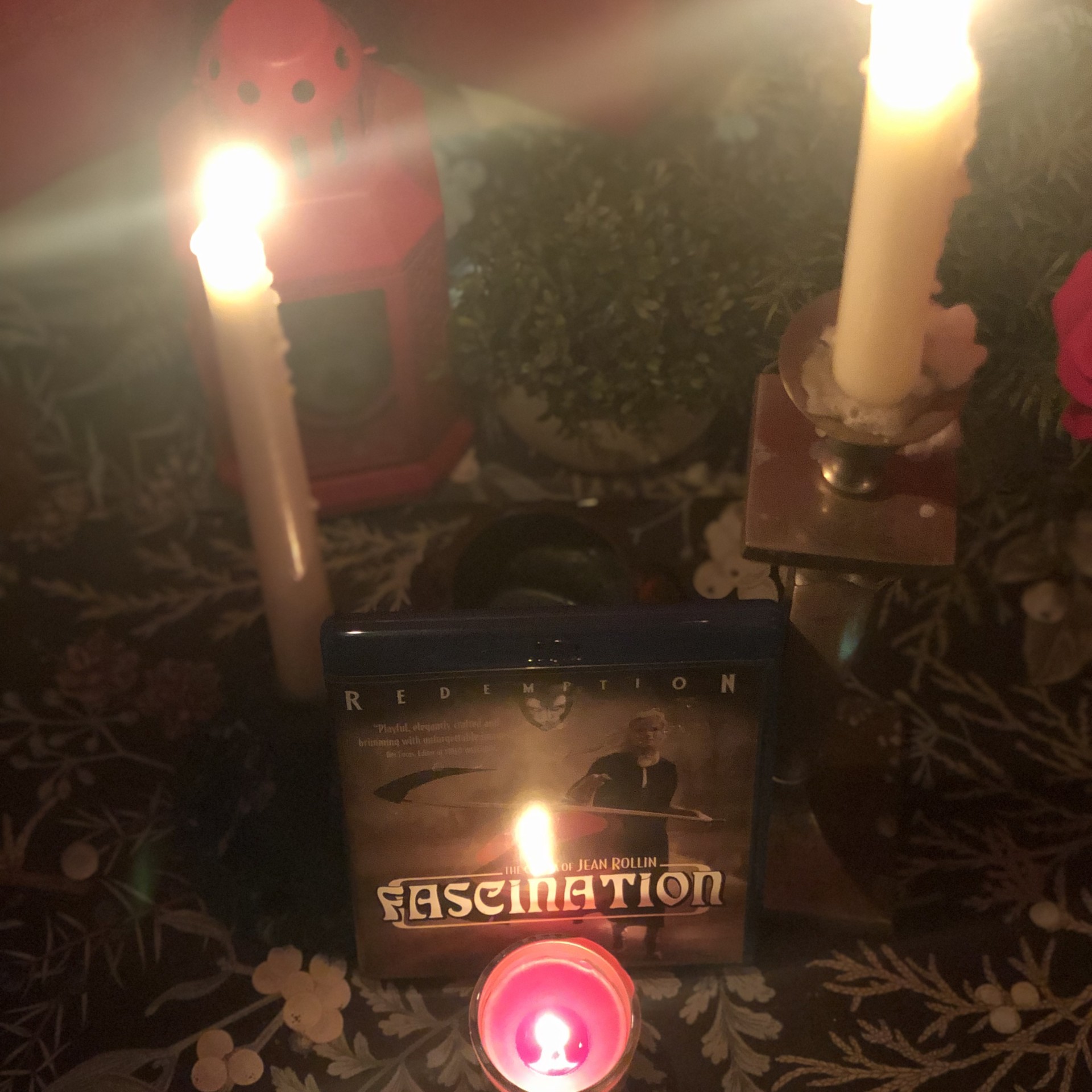 48. Sanguine Addiction